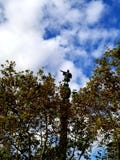 Кристофер Columbus стоковое фото rf Кристофер Columbus стоковое фото rf
